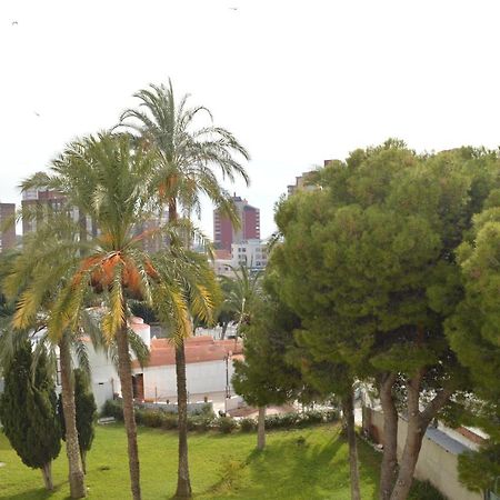 Apartments Benidorm Classy Dış mekan fotoğraf